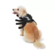 Product Thrills & Chills Spider Costume Vest and Harness