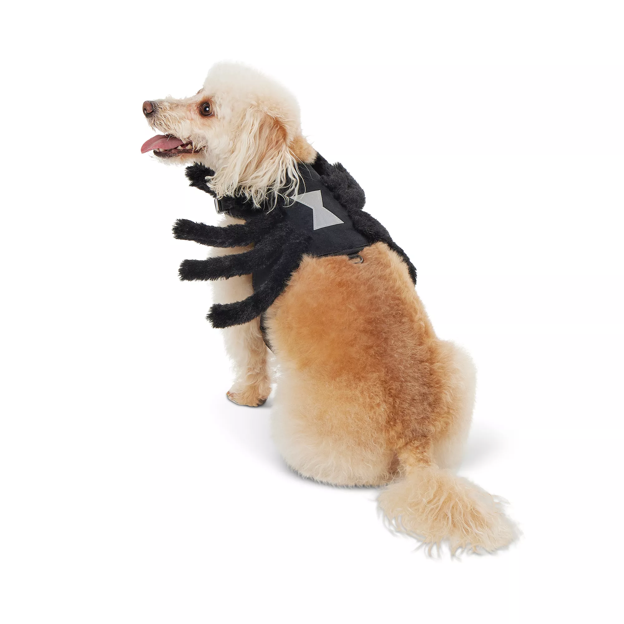 Thrills & Chills Spider Costume Vest and Harness