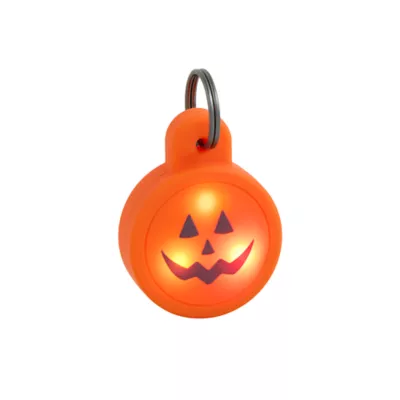 Product Thrills & Chills Pumpkin Light Up Charm Pet Accessory