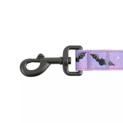 Product Thrills & Chills Bat Printed Dog Leash