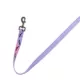 Product Thrills & Chills Bat Printed Dog Leash