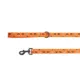 Product Thrills & Chills Pumpkin Printed Dog Leash