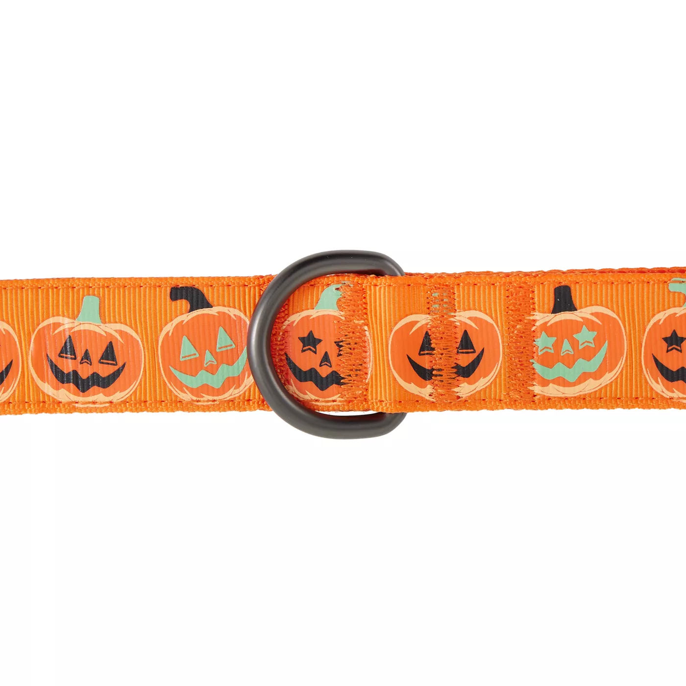 Thrills Chills Pumpkin Printed Dog Leash
