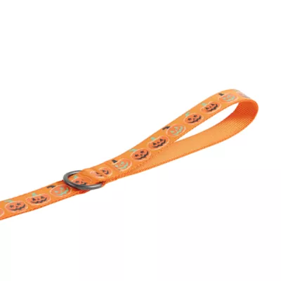 Product Thrills & Chills Pumpkin Printed Dog Leash