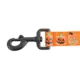 Product Thrills & Chills Pumpkin Printed Dog Leash