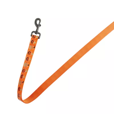 Product Thrills & Chills Pumpkin Printed Dog Leash