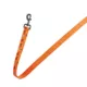 Product Thrills & Chills Pumpkin Printed Dog Leash