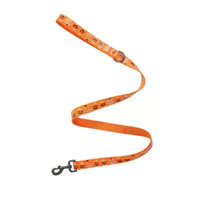 Product Thrills & Chills Pumpkin Printed Dog Leash