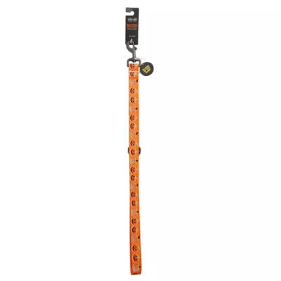 Product Thrills & Chills Pumpkin Printed Dog Leash