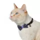 Product Thrills & Chills Embellish Spider Adjustable Kitten Collar