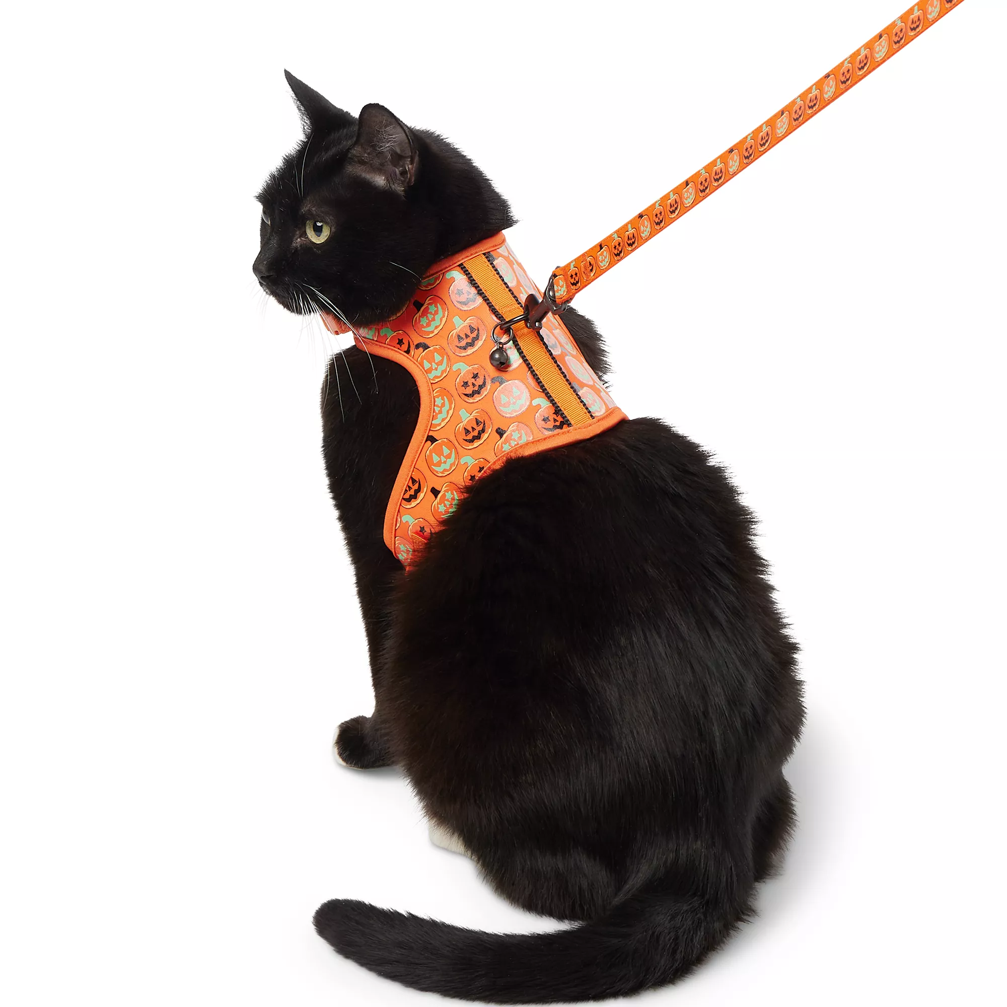 Thrills & Chills Pumpkin Kitten Harness & Leash Combo Set