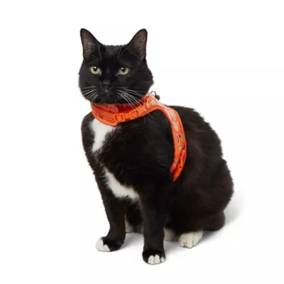 Product Thrills & Chills Pumpkin Kitten Harness & Leash Combo Set