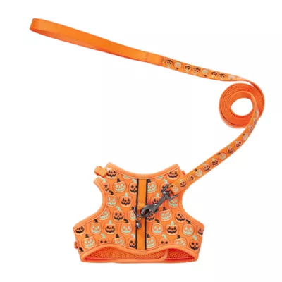 Product Thrills & Chills Pumpkin Kitten Harness & Leash Combo Set