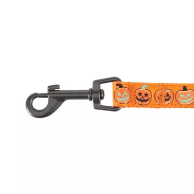 Product Thrills & Chills Pumpkin Kitten Harness & Leash Combo Set