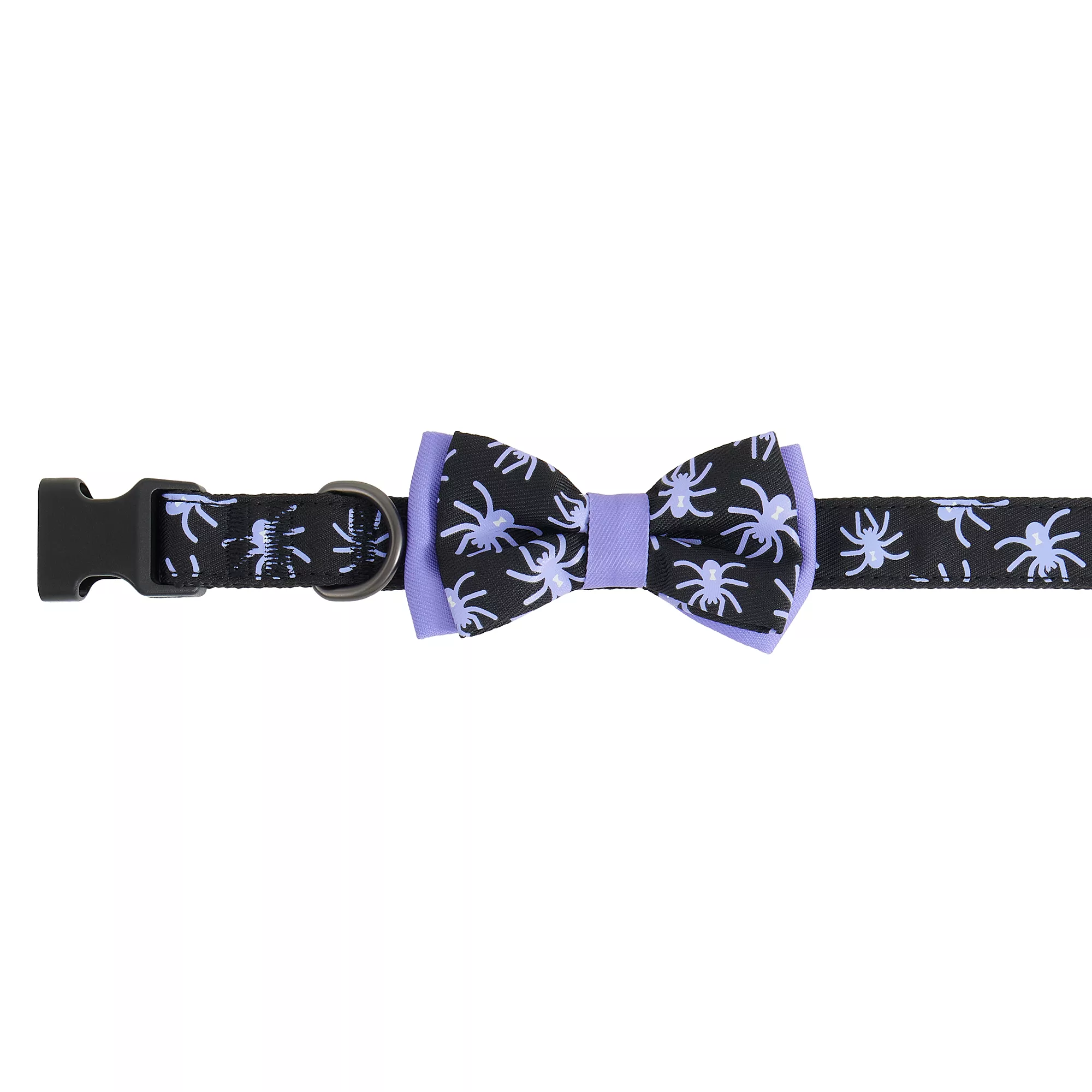 Thrills & Chills Embellish Spider Dog Collar