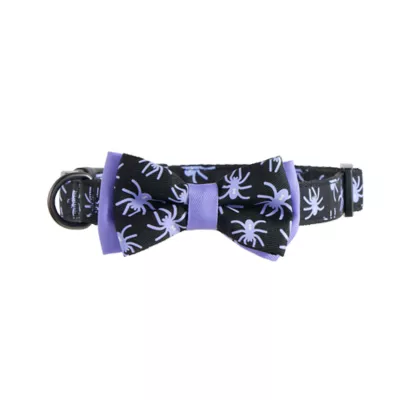 Product Thrills & Chills Embellish Spider Dog Collar