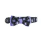 Product Thrills & Chills Embellish Spider Dog Collar