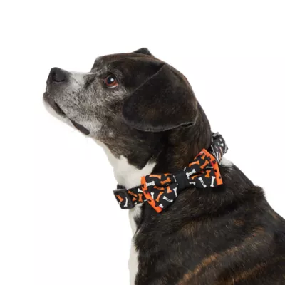 Product Thrills & Chills Bones Dog Collar