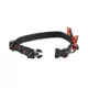 Product Thrills & Chills Bones Dog Collar