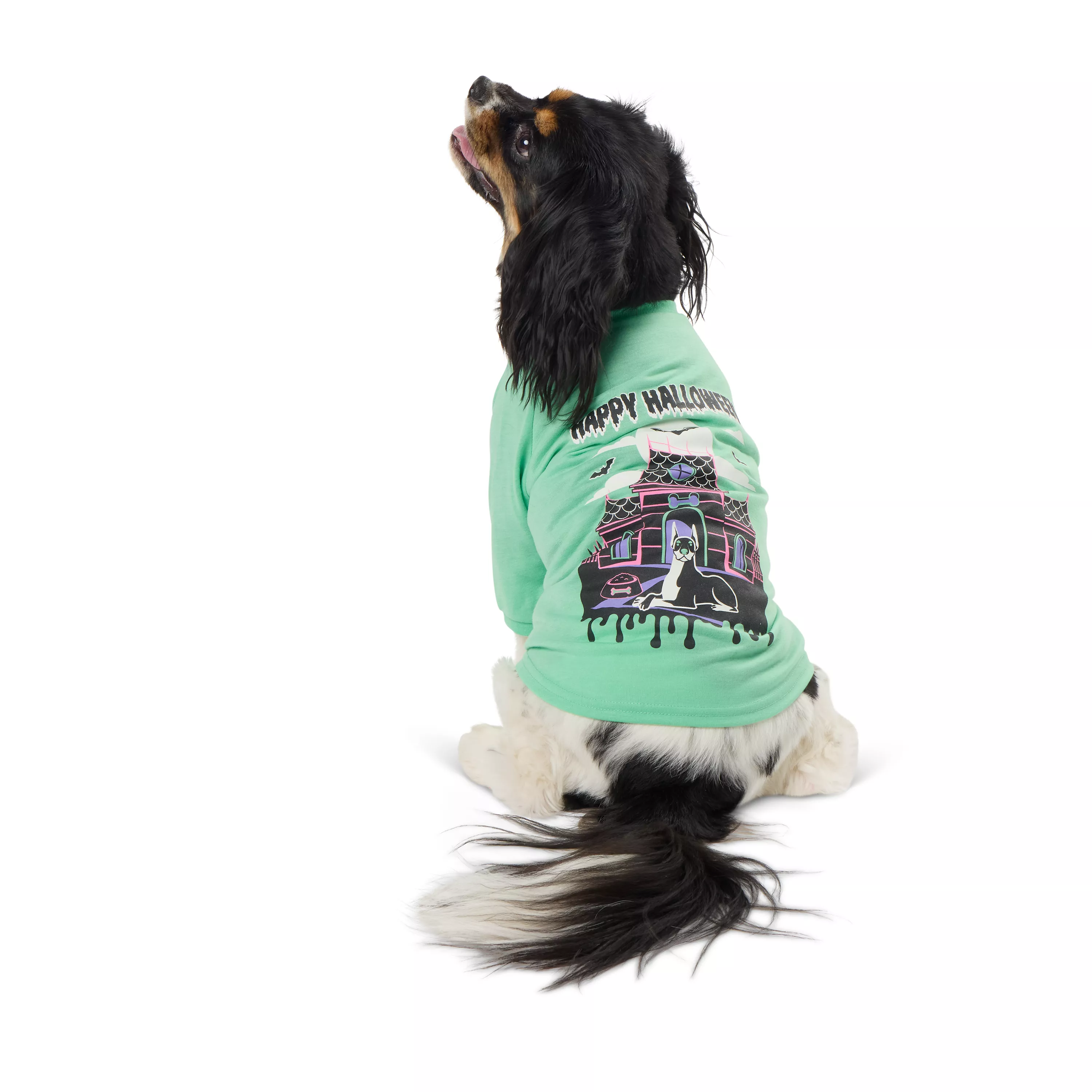 Thrills & Chills Happy Halloween Dog Tee