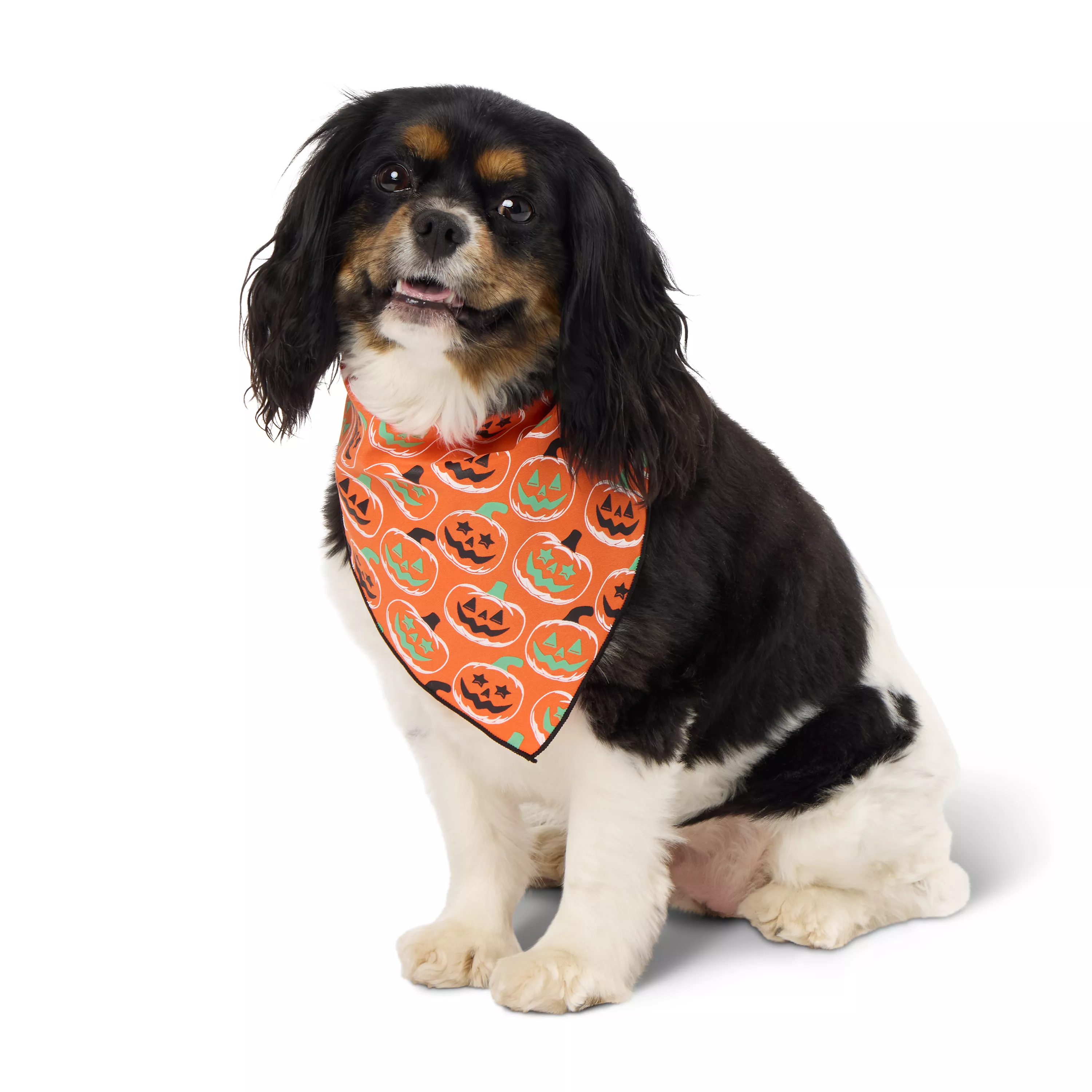 Thrills & Chills Pumpkin Pet Bandana