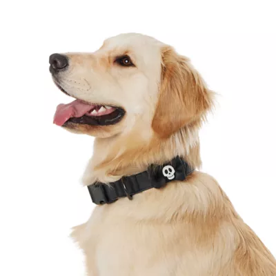 Product Thrills & Chills All Black Dog Collar