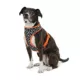 Product Thrills & Chills Pumpkin Reversible Dog Harness