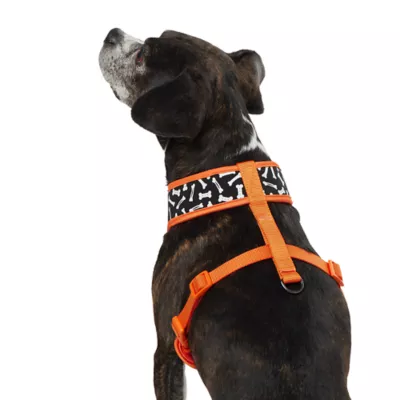 Product Thrills & Chills Pumpkin Reversible Dog Harness