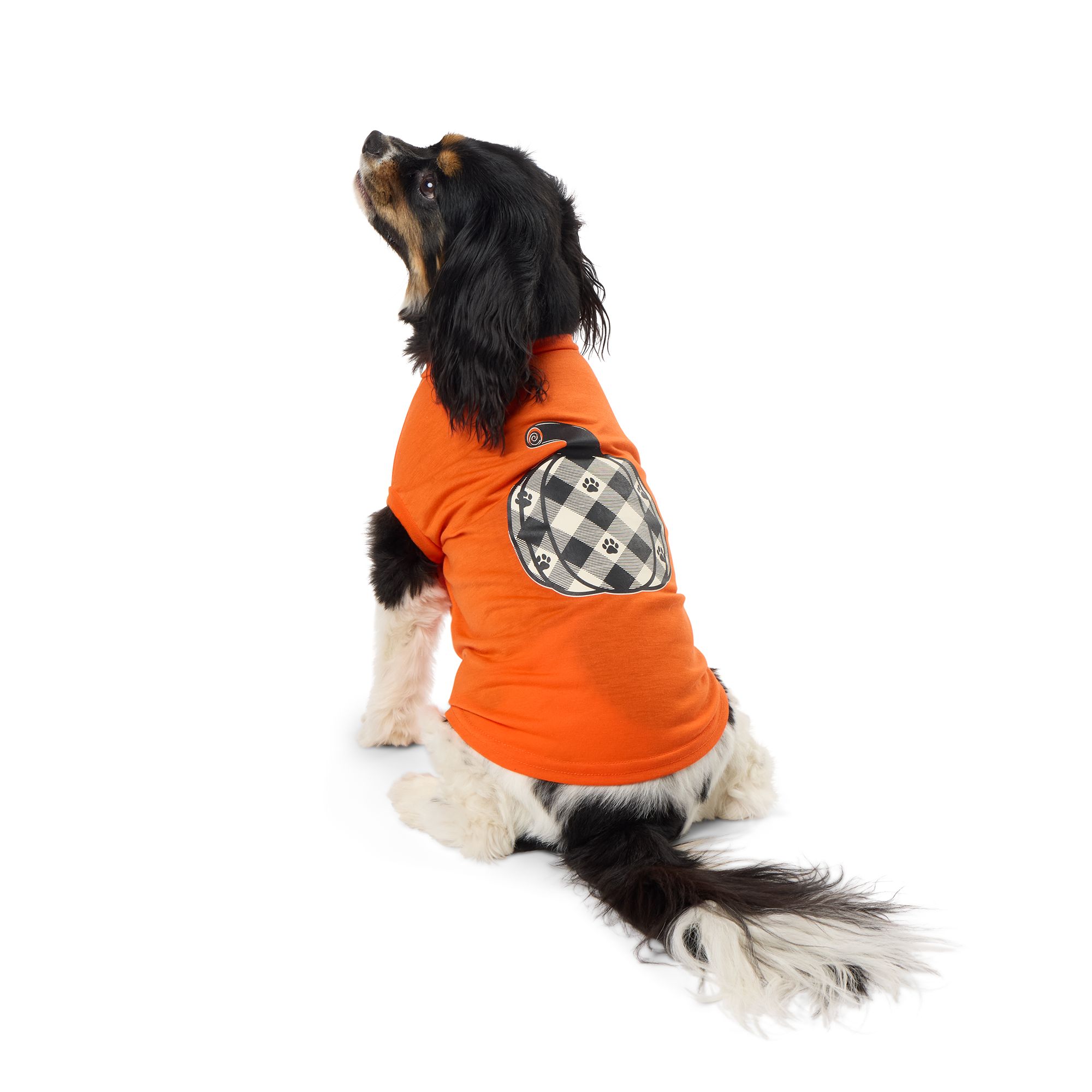 Top Paw Plaid Pumpkin Dog Tee