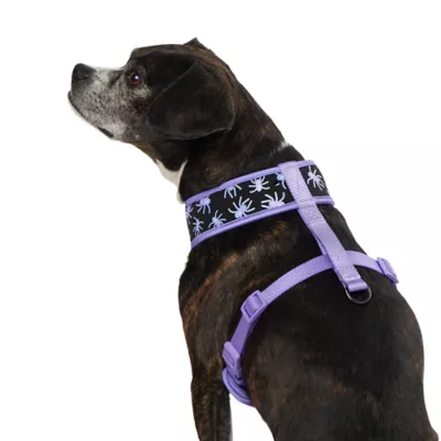 Product Thrills & Chills Spider Reversible Dog Harness