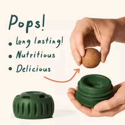 Product WOOF Pupsicle Refill Pops: Peanut Butter and Chicken Recipe