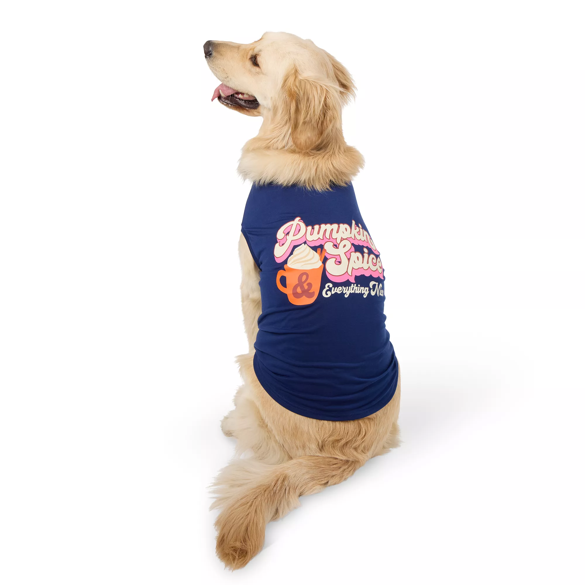 Top Paw Pumpkin Spice Dog Tee