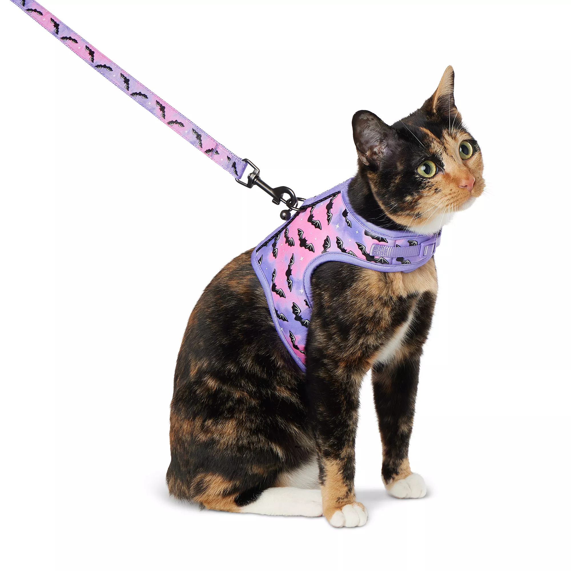 Thrills & Chills Bats Kitten Harness & Leash Combo Set