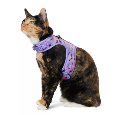 Product Thrills & Chills Bats Kitten Harness & Leash Combo Set