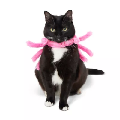 Product Thrills & Chills Spider Kitten Harness & Leash Combo Set