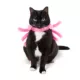 Product Thrills & Chills Spider Kitten Harness & Leash Combo Set