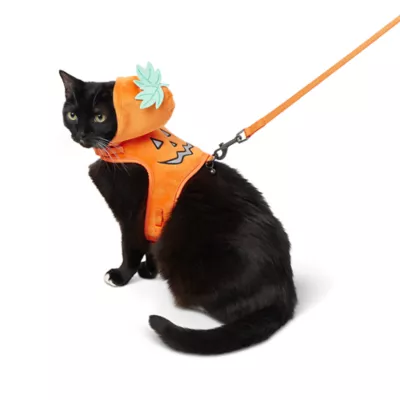 Product Thrills & Chills Pumpkin Kitten Harness & Leash Combo Set