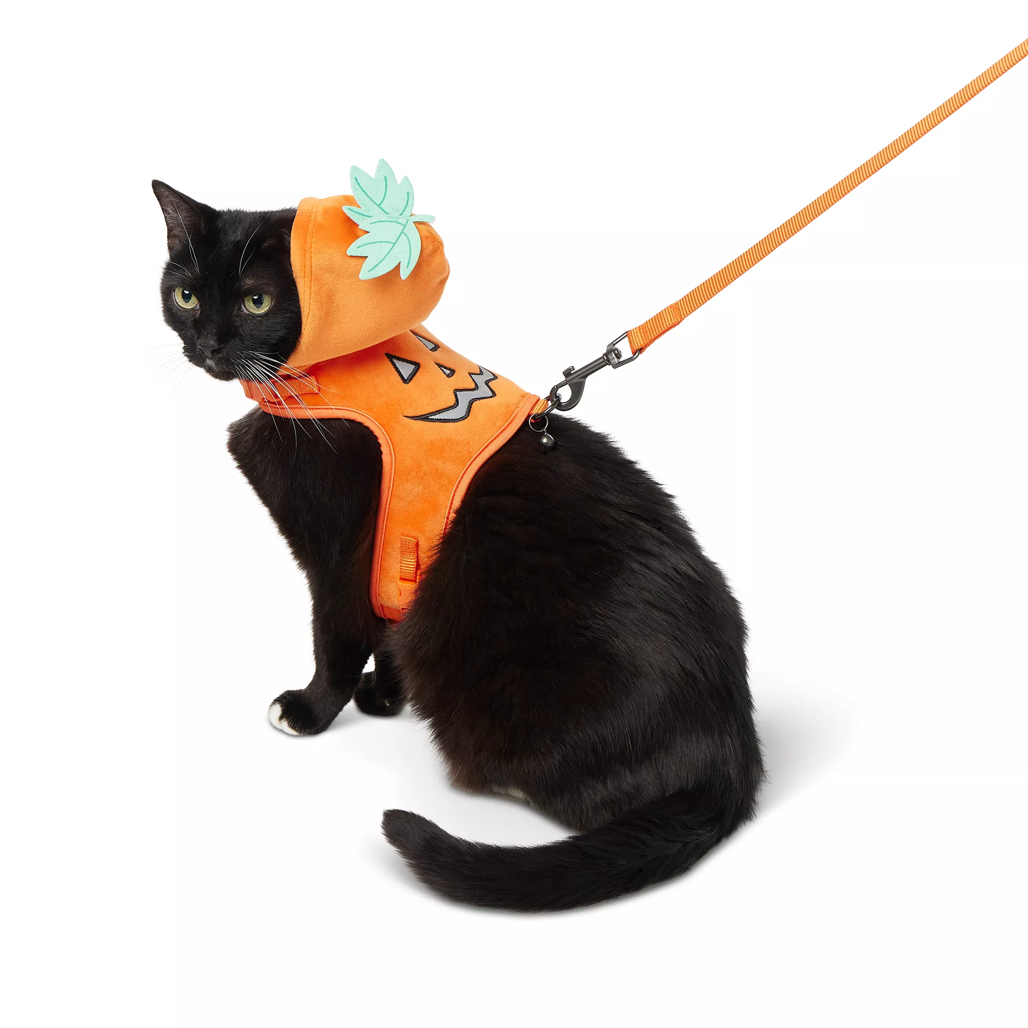 Thrills & Chills Pumpkin Kitten Harness & Leash Combo Set