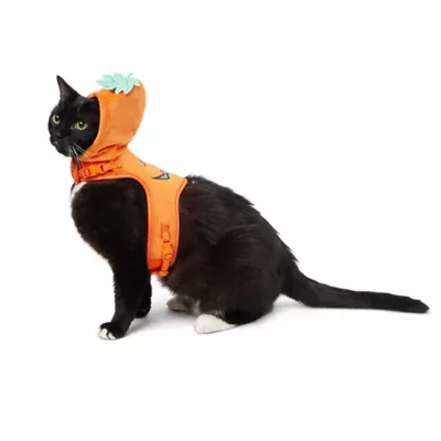 Product Thrills & Chills Pumpkin Kitten Harness & Leash Combo Set