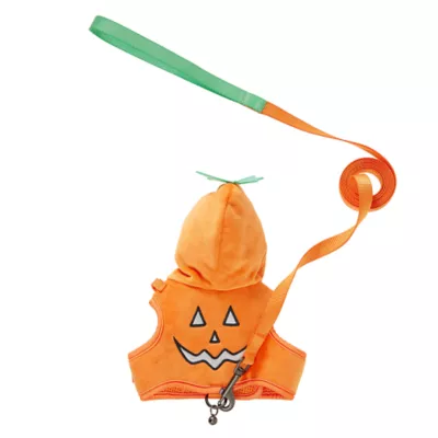 Product Thrills & Chills Pumpkin Kitten Harness & Leash Combo Set