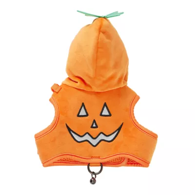 Product Thrills & Chills Pumpkin Kitten Harness & Leash Combo Set