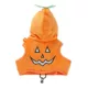 Product Thrills & Chills Pumpkin Kitten Harness & Leash Combo Set