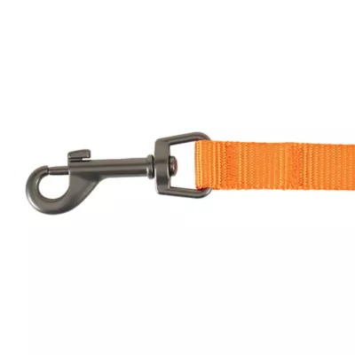 Product Thrills & Chills Pumpkin Kitten Harness & Leash Combo Set