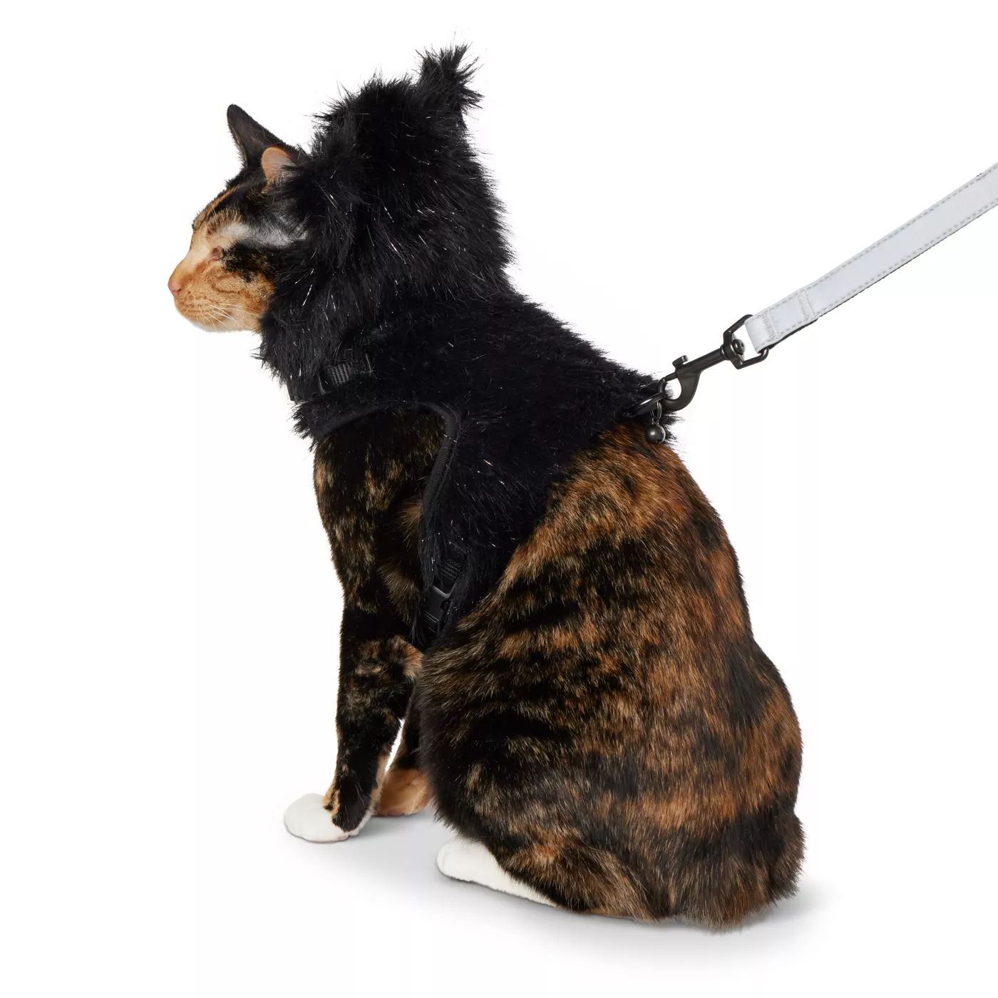 Thrills Chills Kitten Harness Leash Combo Set