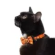 Product Thrills & Chills Embellish Pumpkin Adjustable Collar