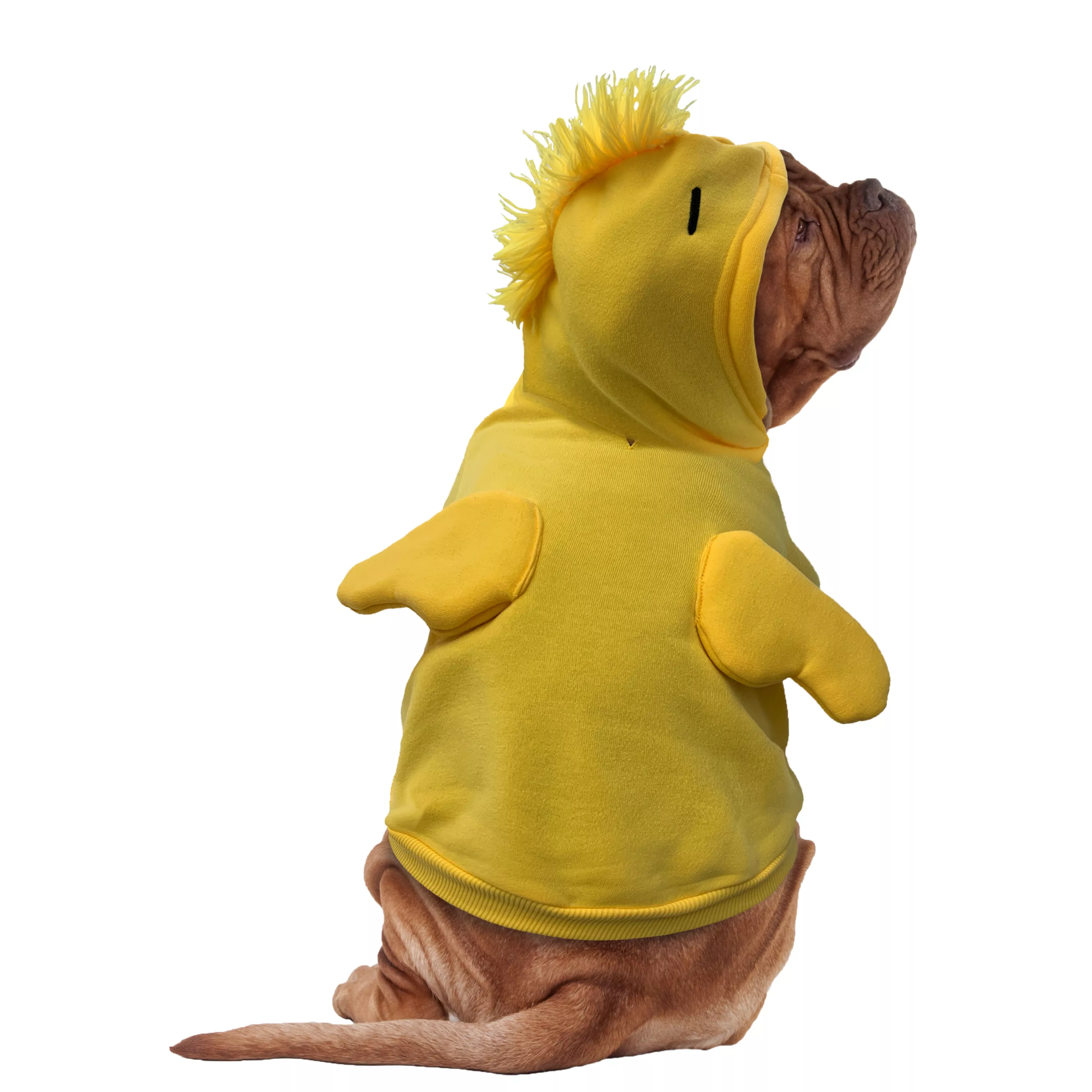 Peanuts Woodstock Costume Pet Hoodie