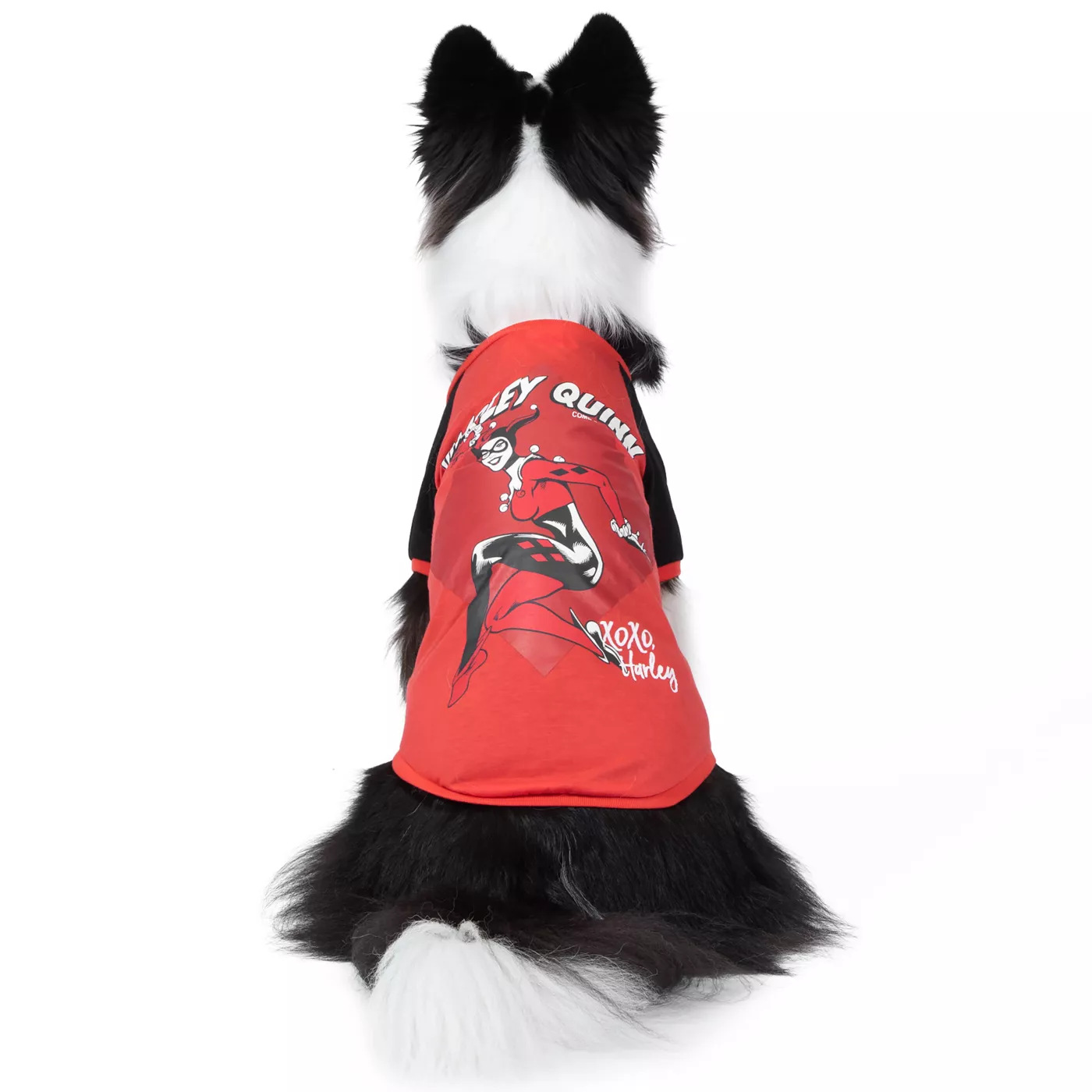 Harley Quinn Dog T shirt