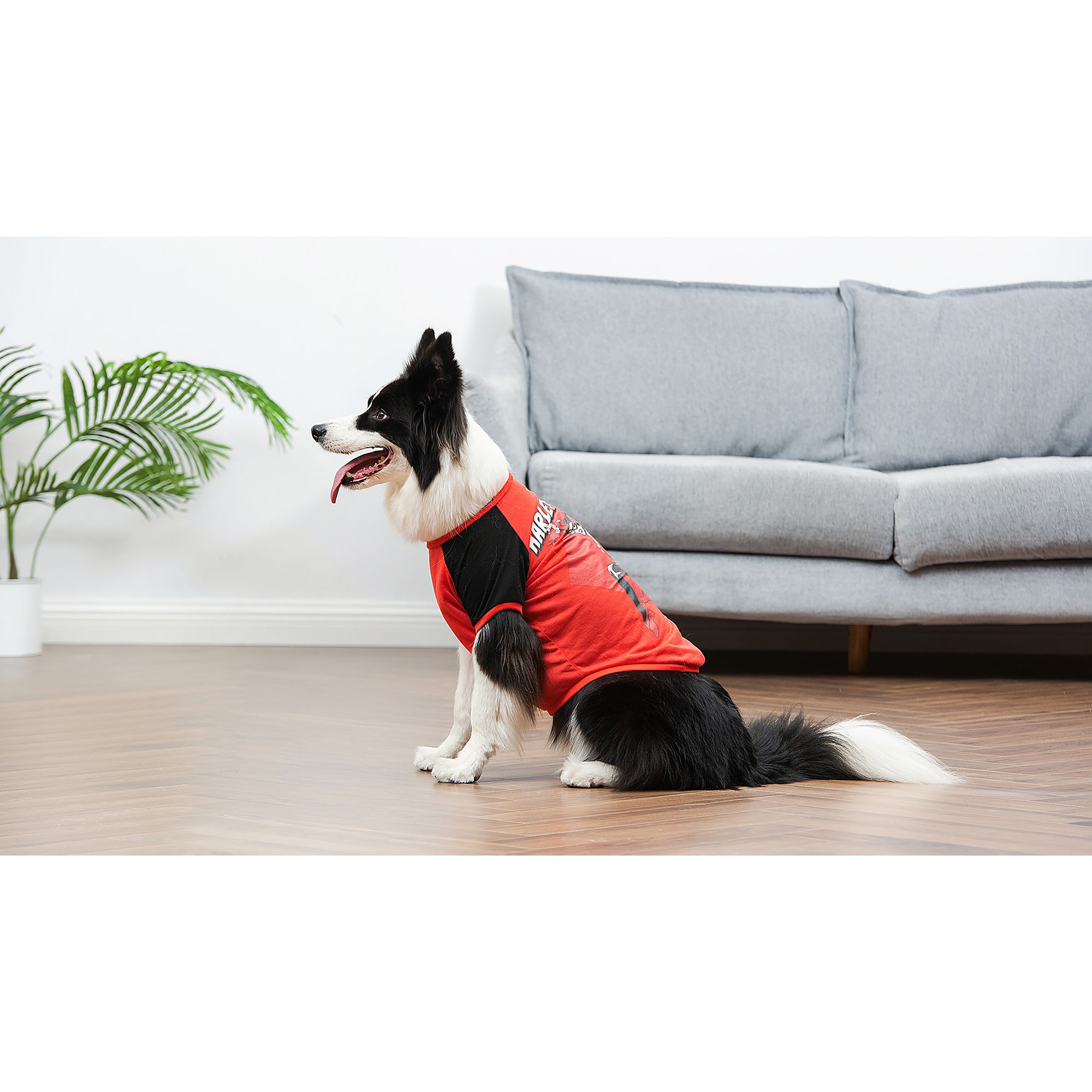 Harley dog clothes best sale