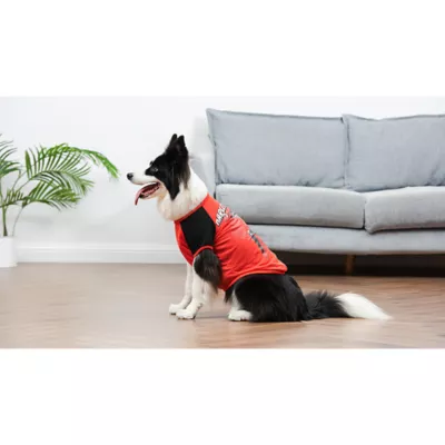 Product  Harley Quinn Dog T-shirt