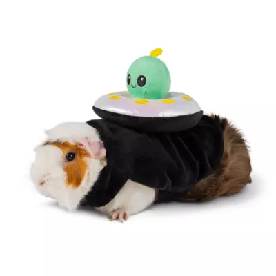 Product Thrills & Chills Alien Small Pet Costume